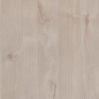 Angora Oak